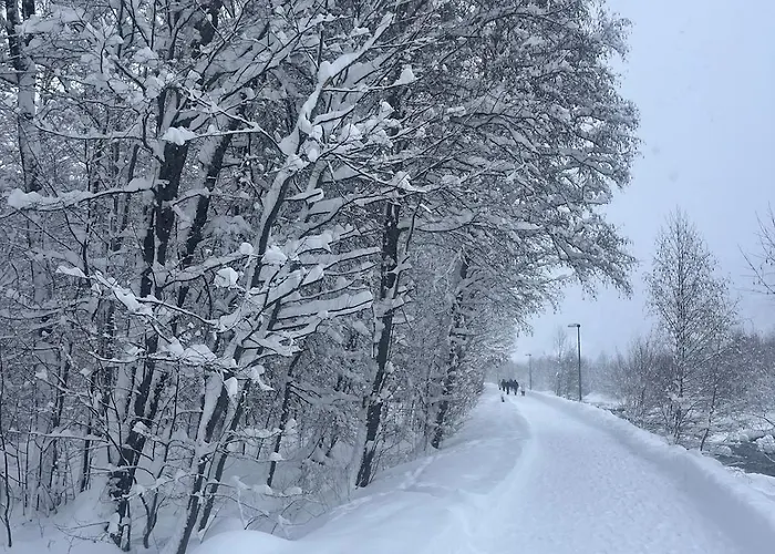 Апартаменты Chess Rustica Клостерс